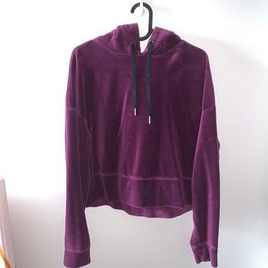 calvin klein velvet cropped sweatshirt